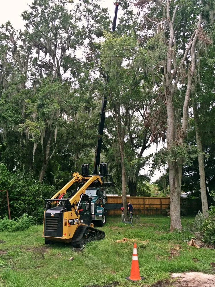 Reliable yard cleanup service in Jacksonville, FL - Arborvation Tree Care & Land Mgmt