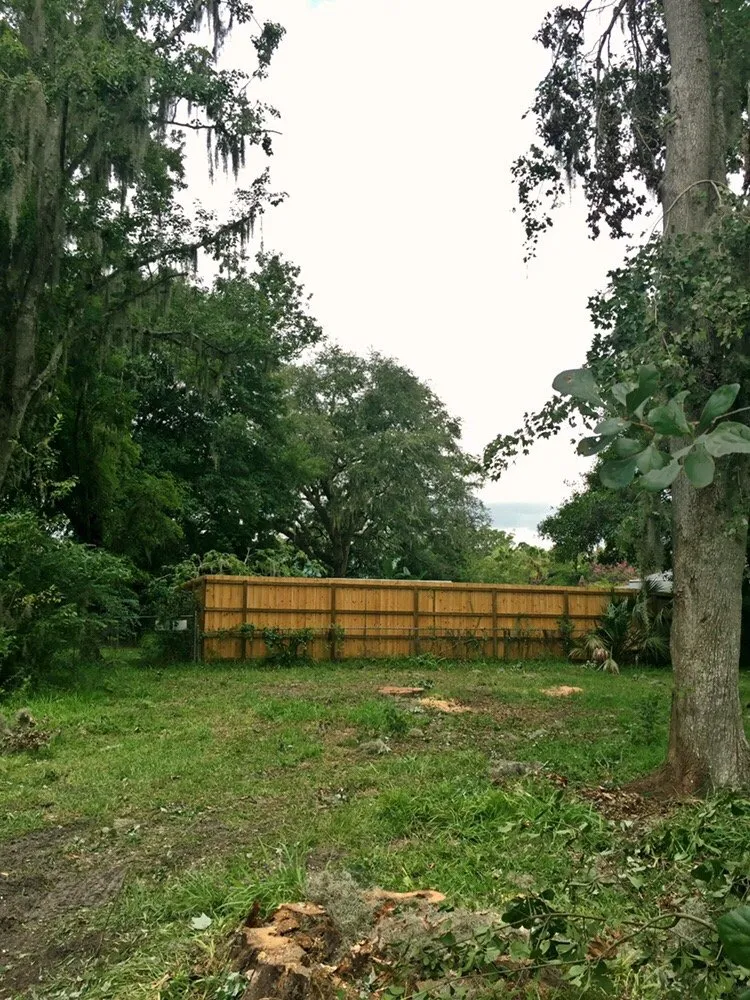 Affordable outdoor landscaping near you in Jacksonville, FL by Arborvation Tree Care & Land Mgmt