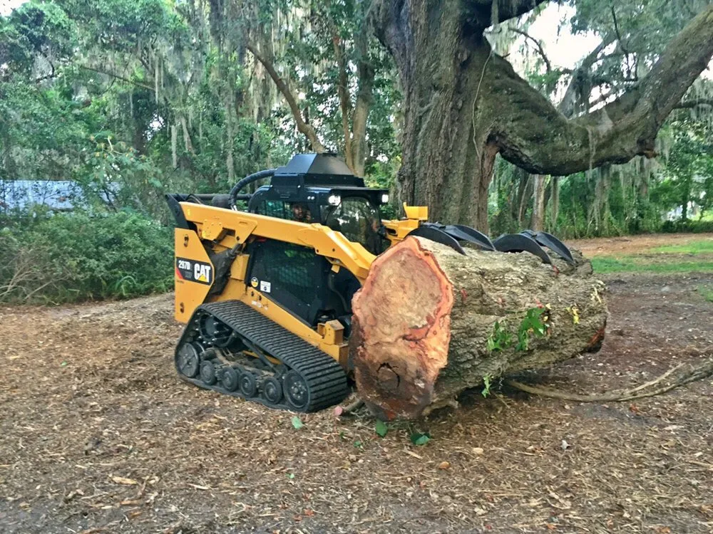 Top-rated landscaping services for outdoor upgrades across Jacksonville, FL - Arborvation Tree Care & Land Mgmt