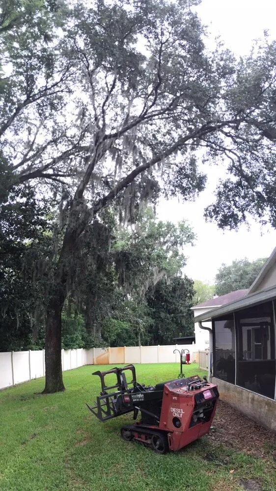 Trusted lawn care service in Jacksonville, FL - Arborvation Tree Care & Land Mgmt