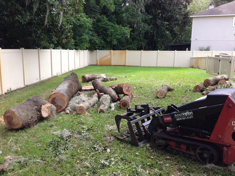 Top-rated outdoor landscaping for outdoor upgrades across Jacksonville, FL - Arborvation Tree Care & Land Mgmt