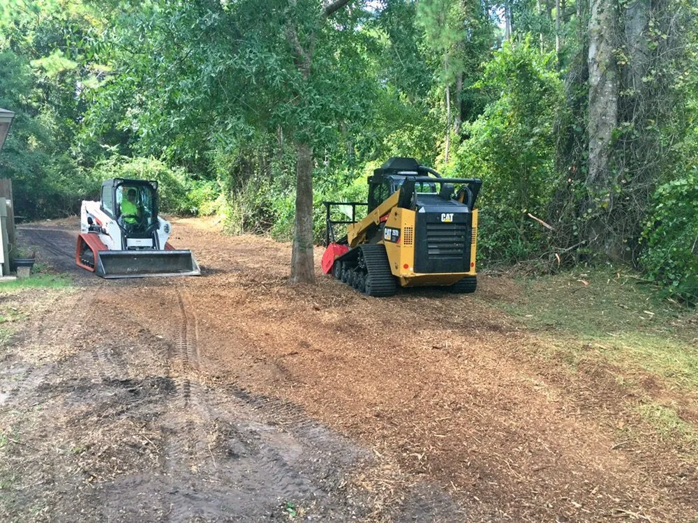 Trusted landscape design for homes across Jacksonville, FL - Arborvation Tree Care & Land Mgmt