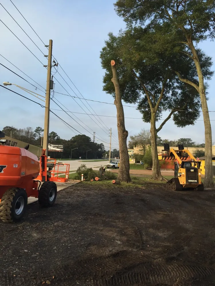 Reliable lawn mowing service for homes across Jacksonville, FL - Arborvation Tree Care & Land Mgmt