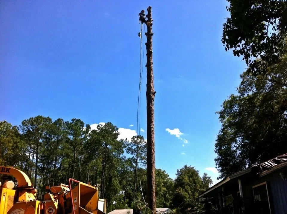 Expert lawn care service in Jacksonville, FL by Arborvation Tree Care & Land Mgmt