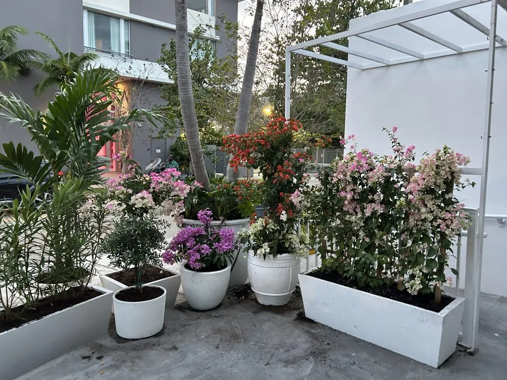 Trusted landscaping services for residential properties across Miami, FL - ArborVisum