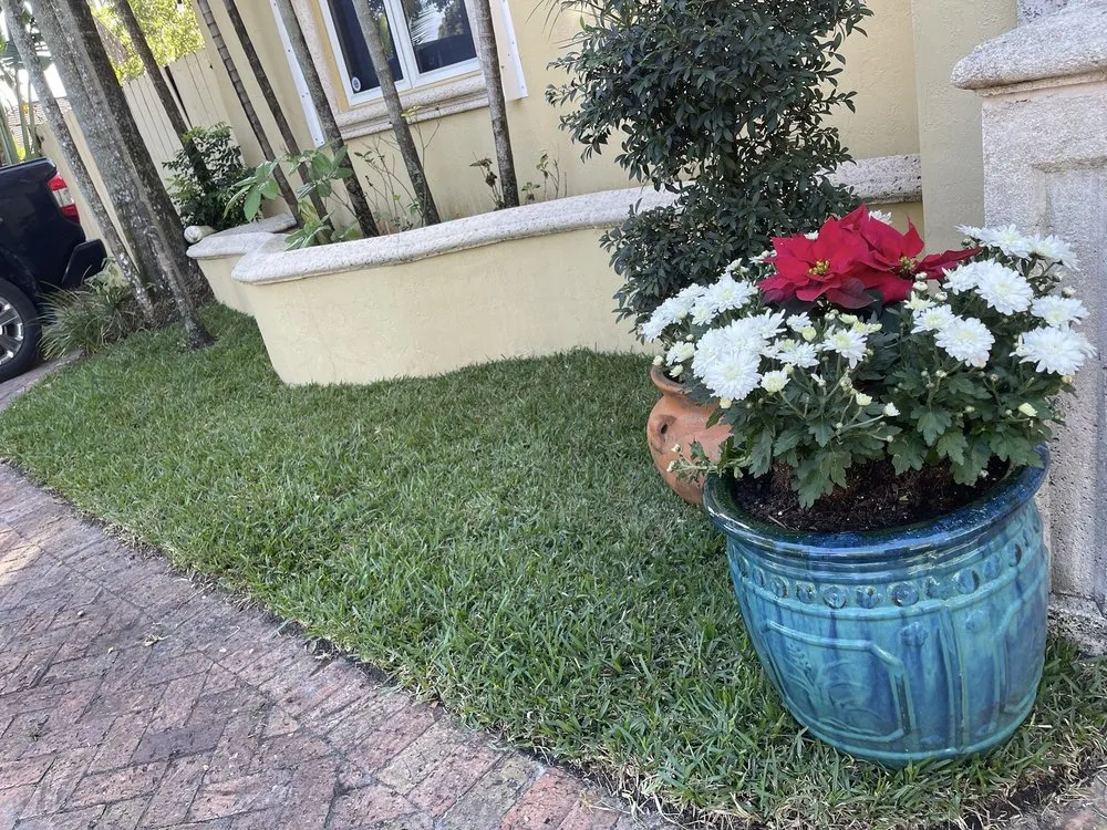 Affordable garden landscaping in Miami, FL - ArborVisum