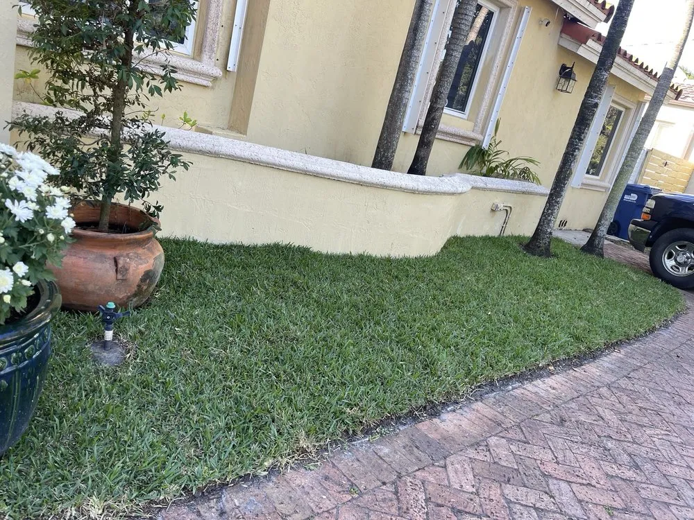 Custom lawn mowing service in Miami, FL - ArborVisum