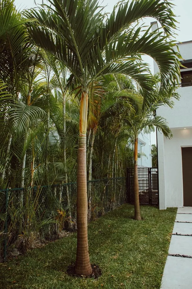 Affordable garden landscaping in Miami, FL by ArborVisum