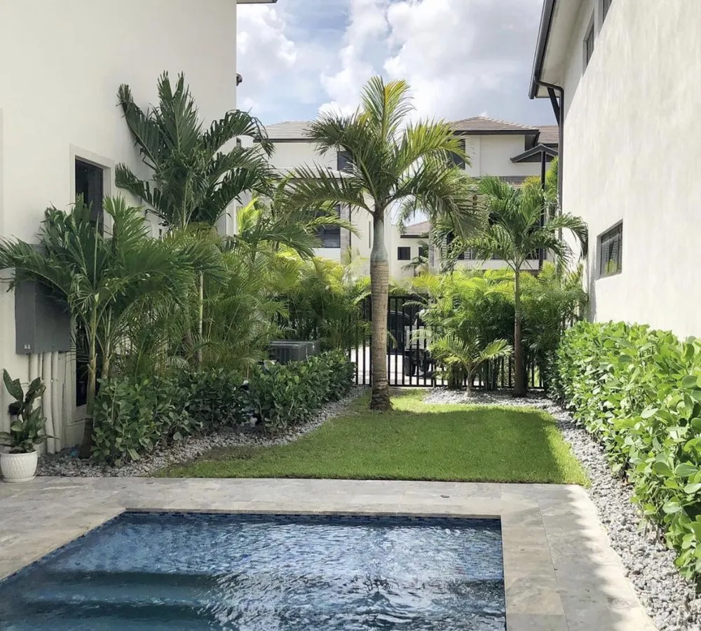 Local yard cleanup service experts serving Miami, FL - ArborVisum