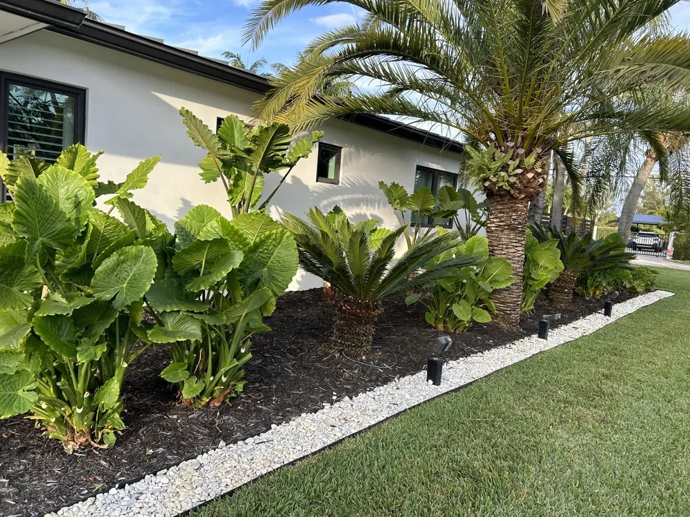 Local outdoor landscaping in Miami, FL - ArborVisum