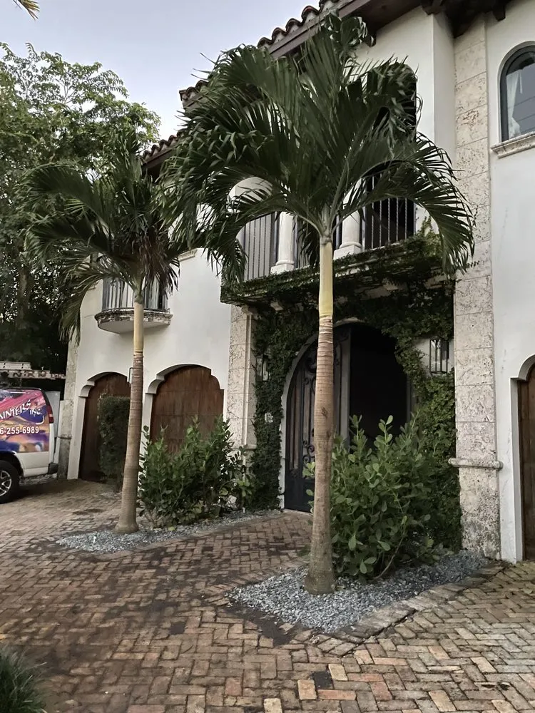 Trusted lawn mowing service for beautiful yards across Miami, FL - ArborVisum