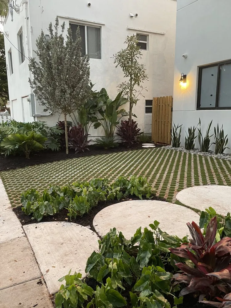 Reliable yard cleanup service in Miami, FL - ArborVisum