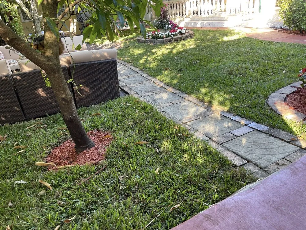 Reliable lawn care service for year-round maintenance in Miami, FL by ArborVisum