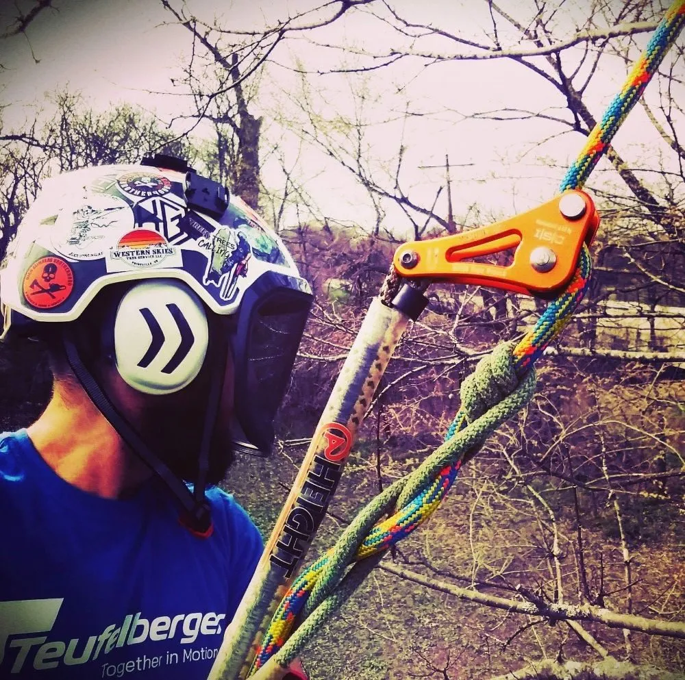 Top-rated yard maintenance experts serving Farmersville, TX - Arborwise Tree Care