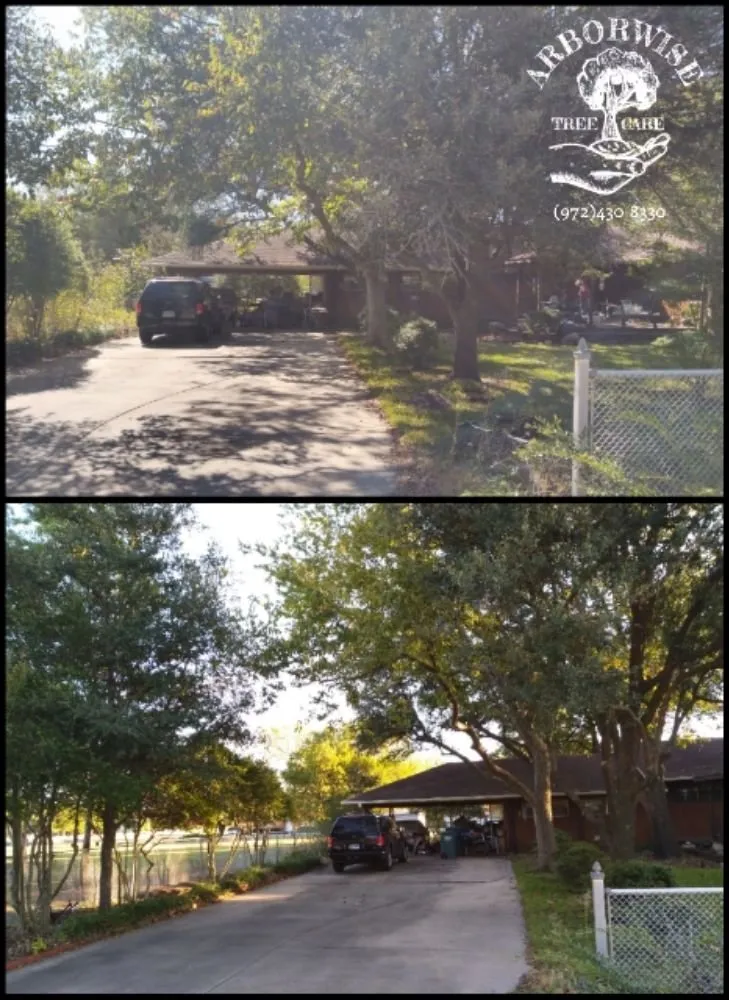 Expert residential landscaping for homes in Farmersville, TX by Arborwise Tree Care