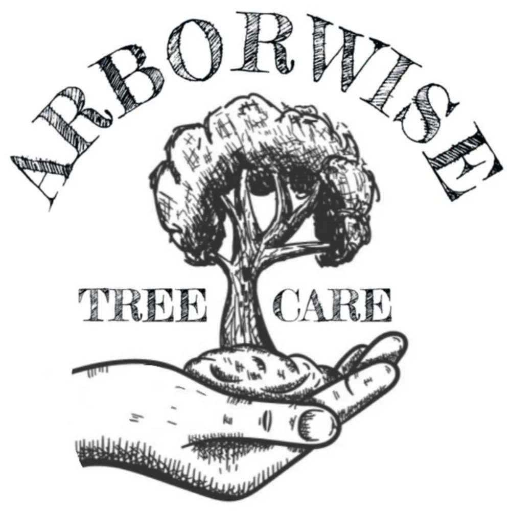 Trusted landscaping services for outdoor upgrades across Farmersville, TX - Arborwise Tree Care