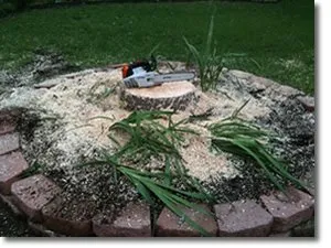 Affordable lawn mowing service in Rockwall, TX by ArborWise Tree Service