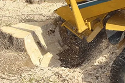 Affordable yard maintenance in Rockwall, TX by ArborWise Tree Service