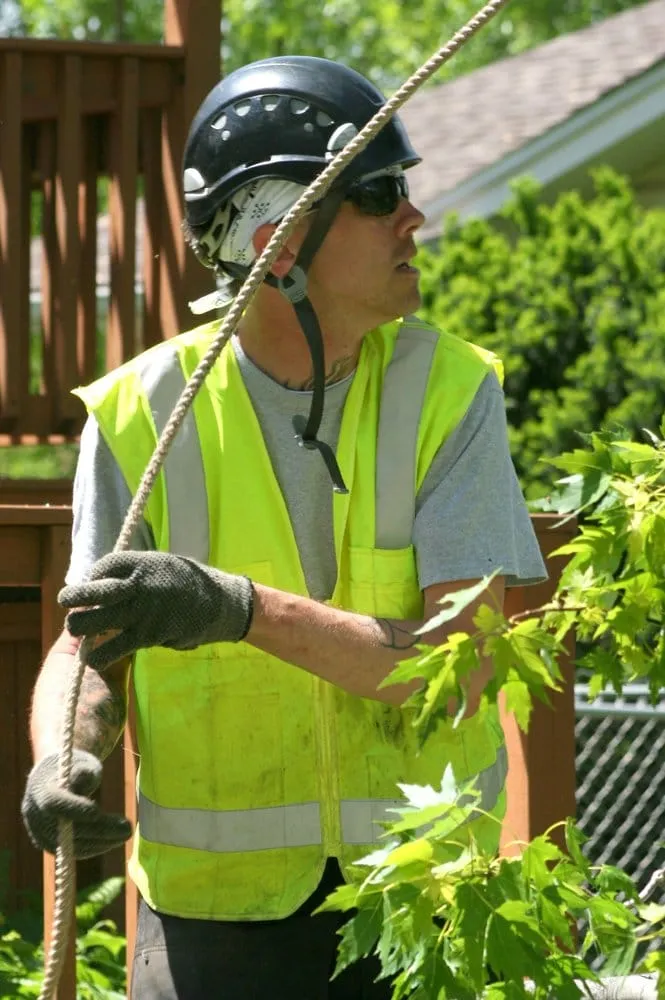 Reliable landscape design for beautiful yards across Downers Grove, IL - Arborworks