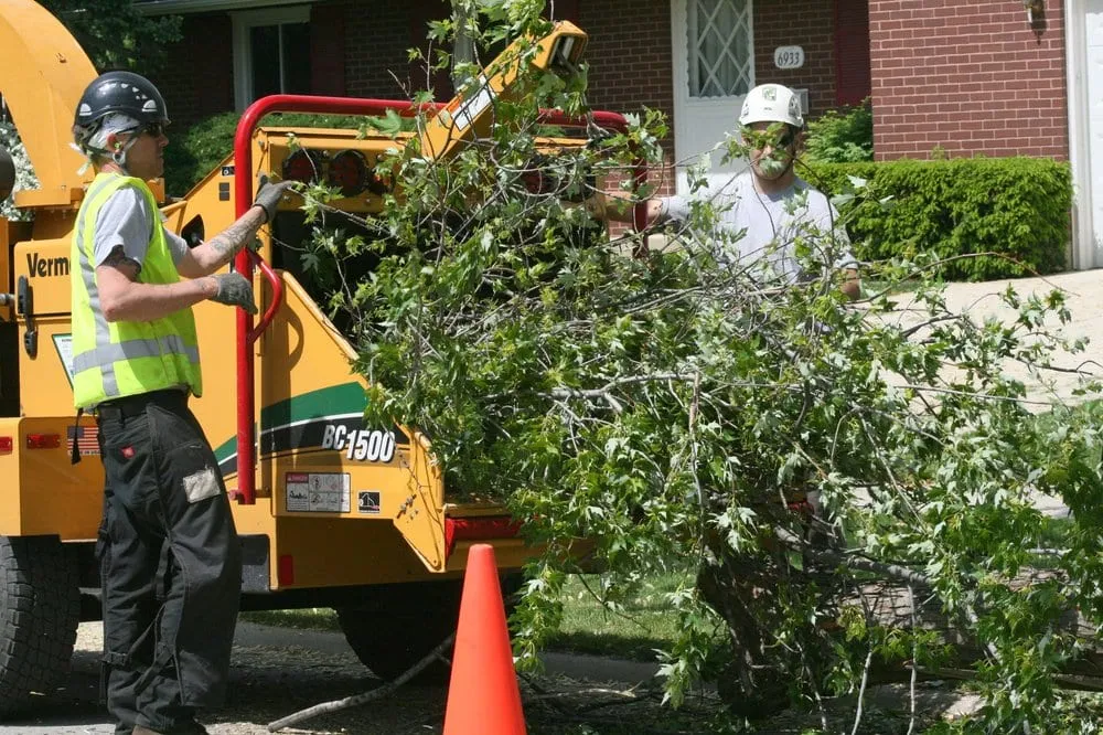 Custom lawn care service in Downers Grove, IL by Arborworks