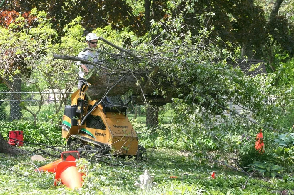 Custom lawn care service near you across Downers Grove, IL - Arborworks