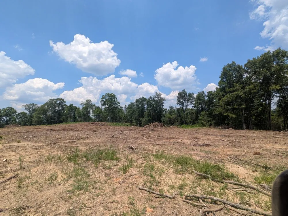 Custom landscape design in McDonald, TN by Arborx Industries