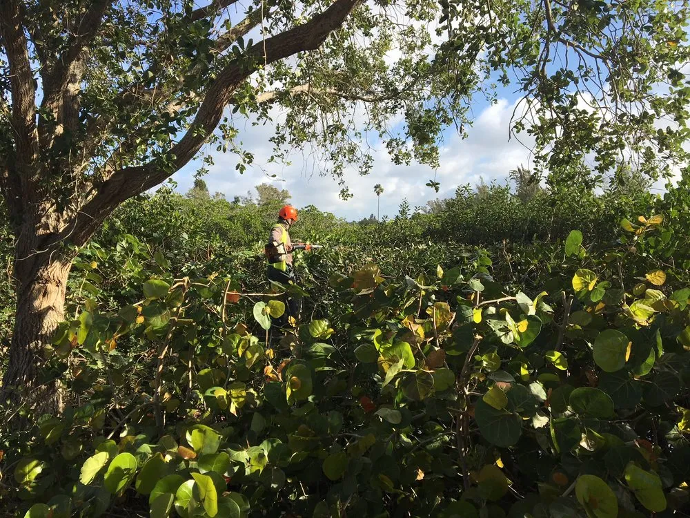 Trusted residential landscaping with custom design across Sarasota, FL - Arborx Tree Services