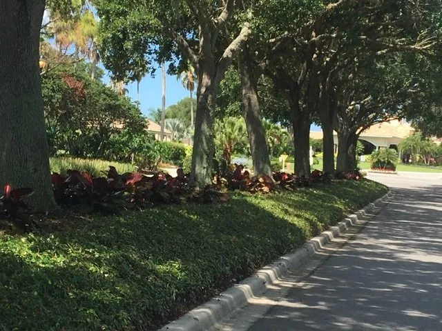 Reliable lawn mowing service experts serving Sarasota, FL - Arborx Tree Services