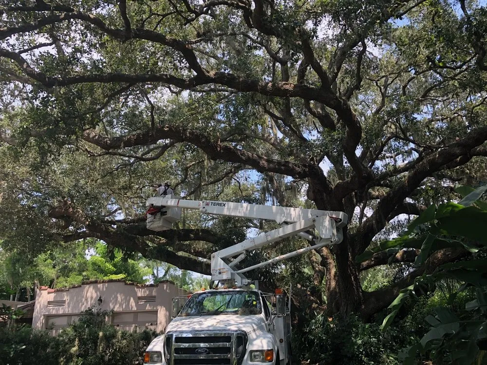 Affordable residential landscaping for year-round maintenance across Sarasota, FL - Arborx Tree Services