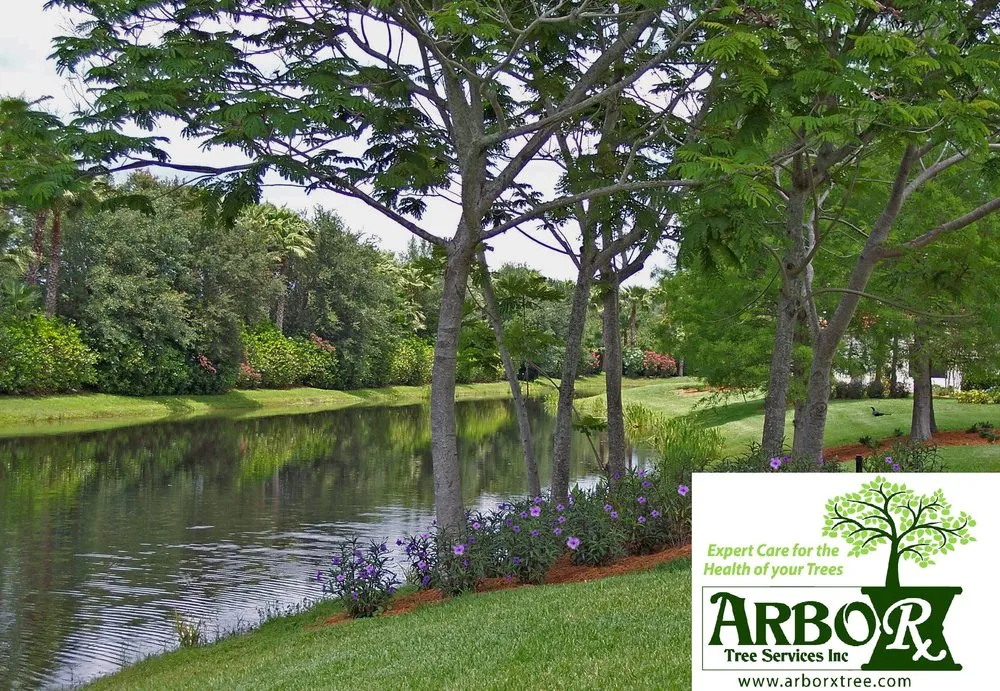 Local outdoor landscaping with custom design in Sarasota, FL by Arborx Tree Services