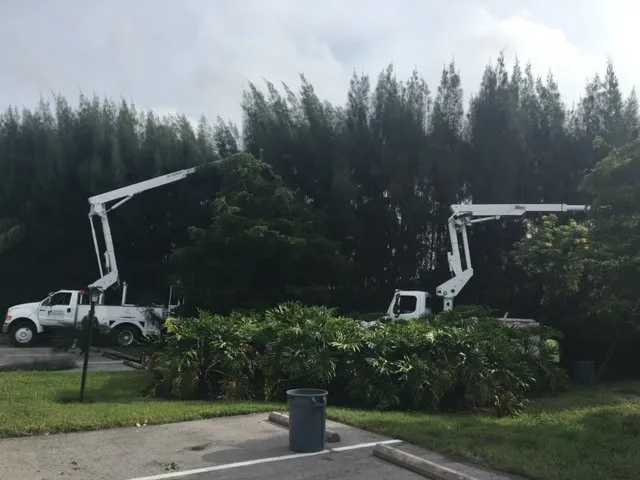 Expert landscape installation near you across Sarasota, FL - Arborx Tree Services