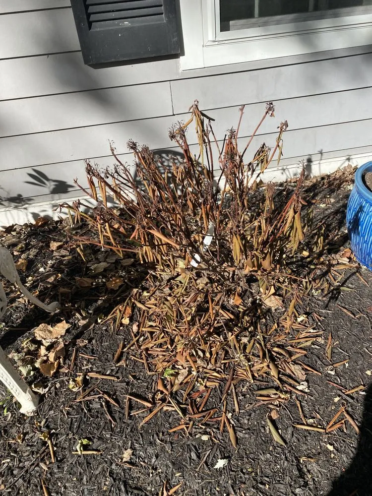 Expert garden landscaping in Indianapolis, IN - Arbuckle Nursery & Landscaping