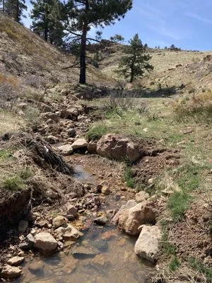 Arburua Lawn Care Logo