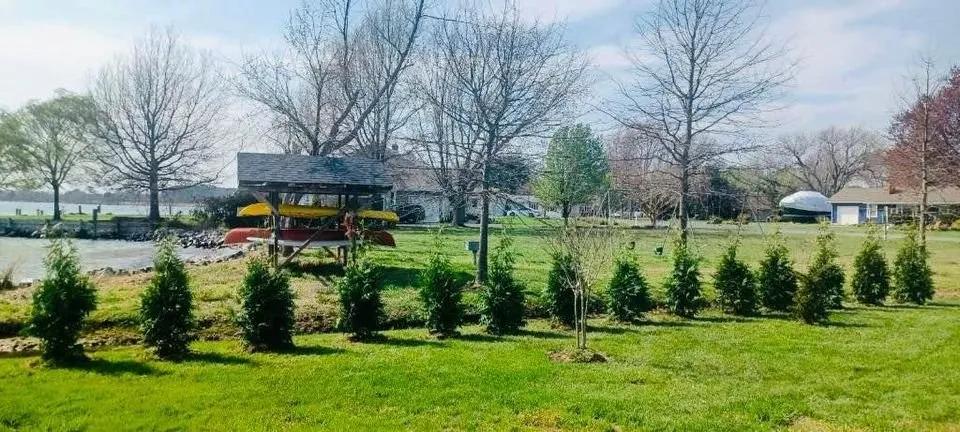 Professional lawn mowing service experts serving Church Hill, MD - Arbys Arbors