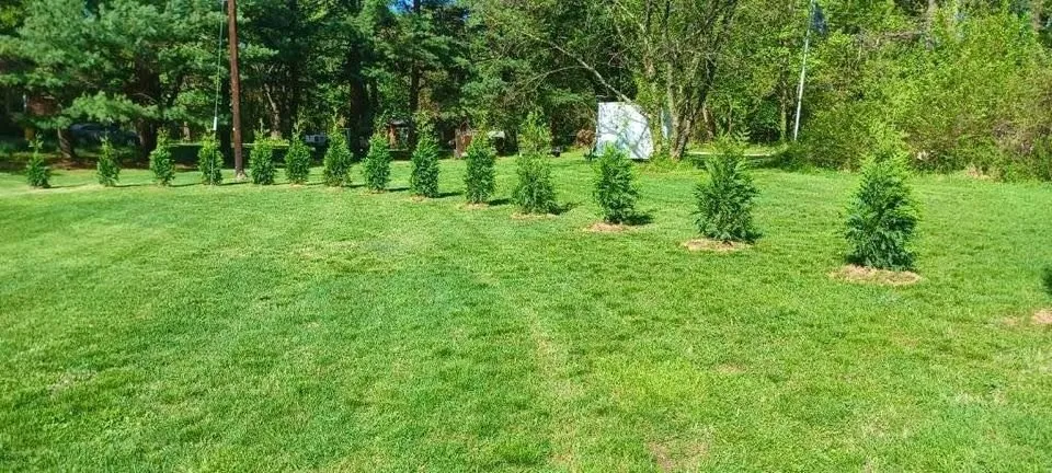 Trusted residential landscaping for residential properties across Church Hill, MD - Arbys Arbors