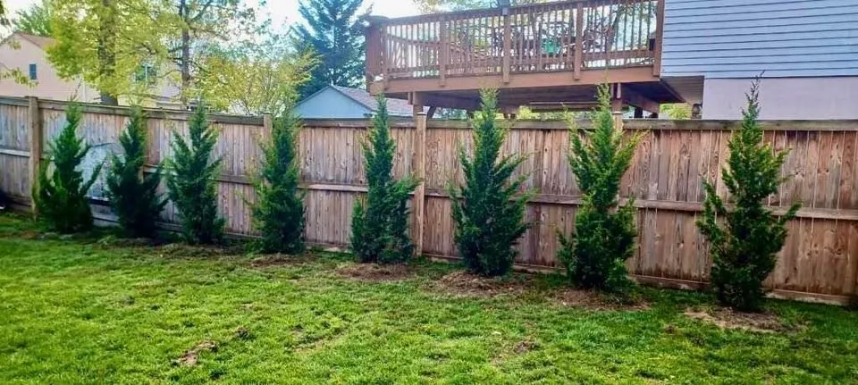 Affordable yard cleanup service near you across Church Hill, MD - Arbys Arbors