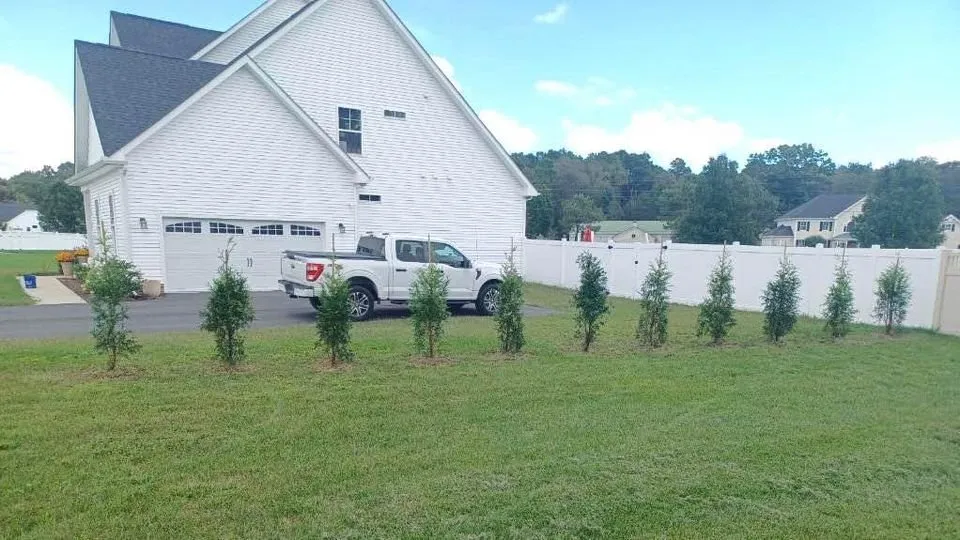 Affordable yard cleanup service for homes in Church Hill, MD by Arbys Arbors