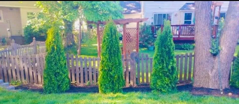 Trusted yard cleanup service in Church Hill, MD - Arbys Arbors