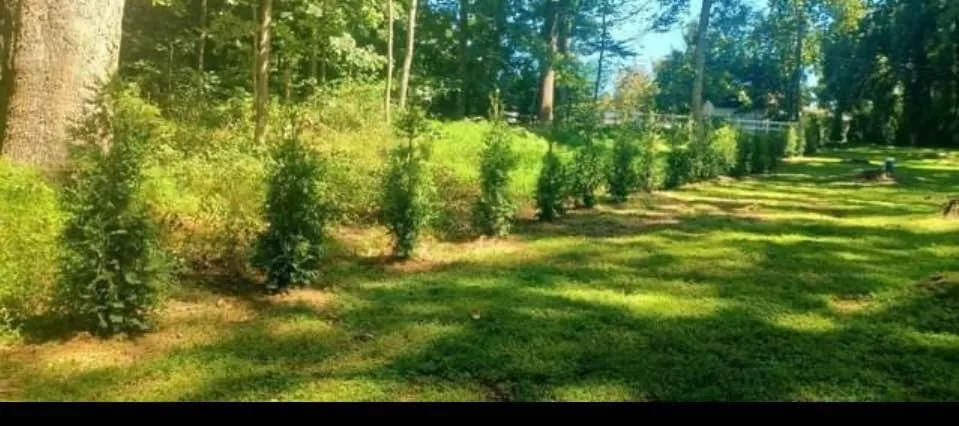 Reliable lawn mowing service in Church Hill, MD - Arbys Arbors