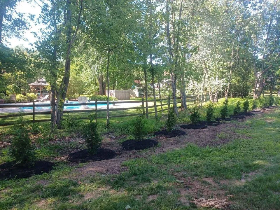 Custom yard maintenance in Church Hill, MD by Arbys Arbors