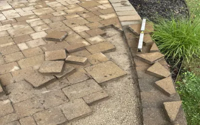 Local lawn care service for year-round maintenance across Spanaway, WA - ARC Hardscapes & Development