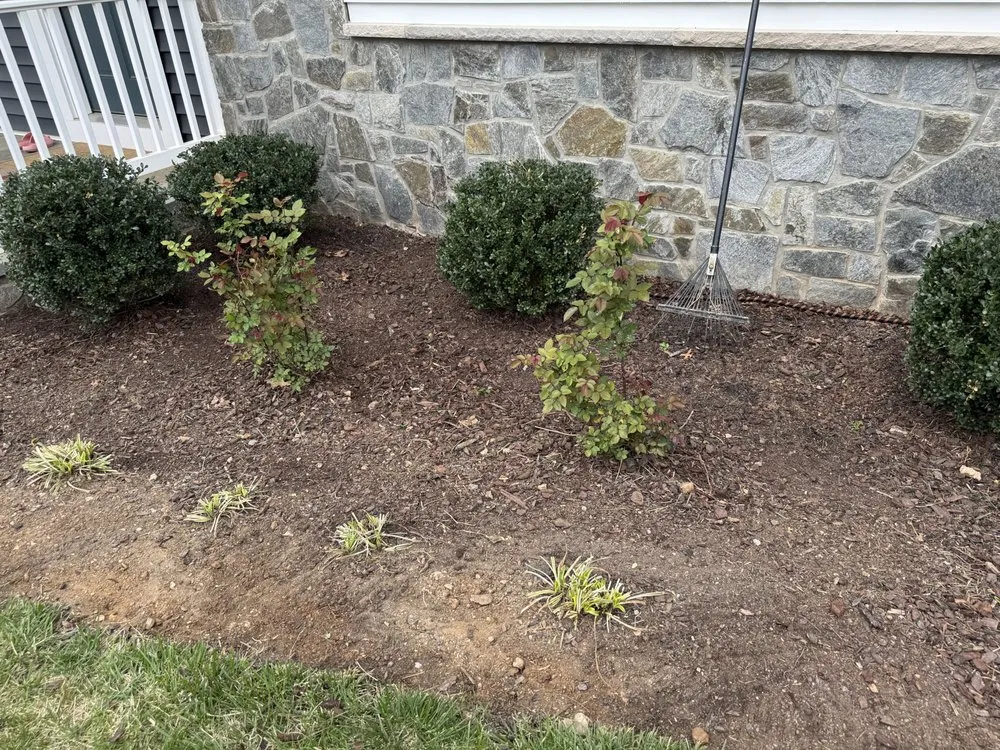 Custom yard cleanup service in Clarksburg, MD by ARC Home Improvement