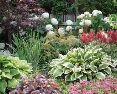 Trusted lawn care service experts serving Bridgman, MI - Arcadia Gardens