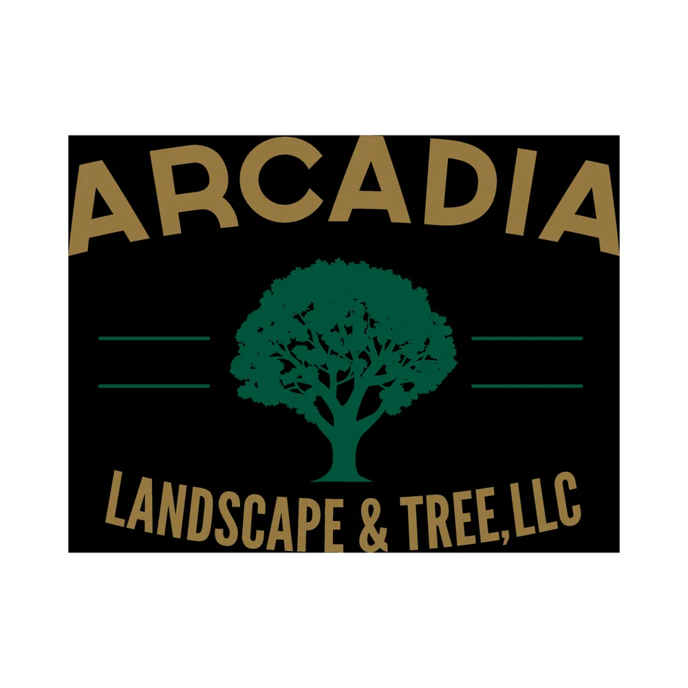 Custom yard maintenance in Hanahan, SC - Arcadia Landscape & Tree