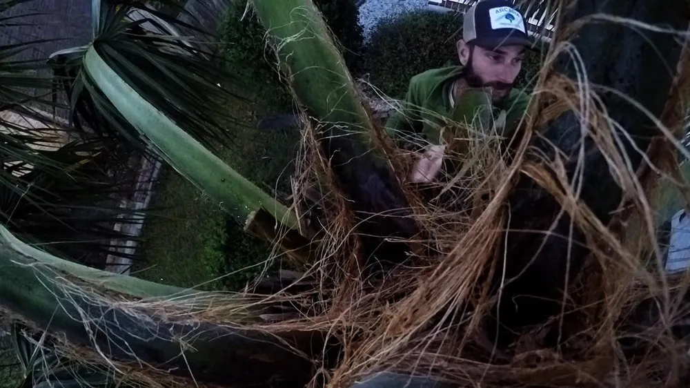 Local yard maintenance with custom design in Hanahan, SC by Arcadia Landscape & Tree