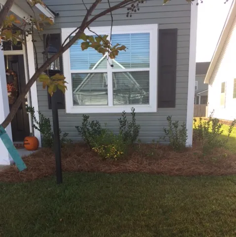 Professional lawn mowing service for outdoor upgrades across Hanahan, SC - Arcadia Landscape & Tree