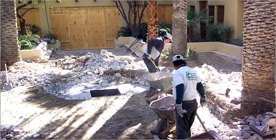 Expert yard cleanup service for beautiful yards across Tucson, AZ - Arcadia Landscape