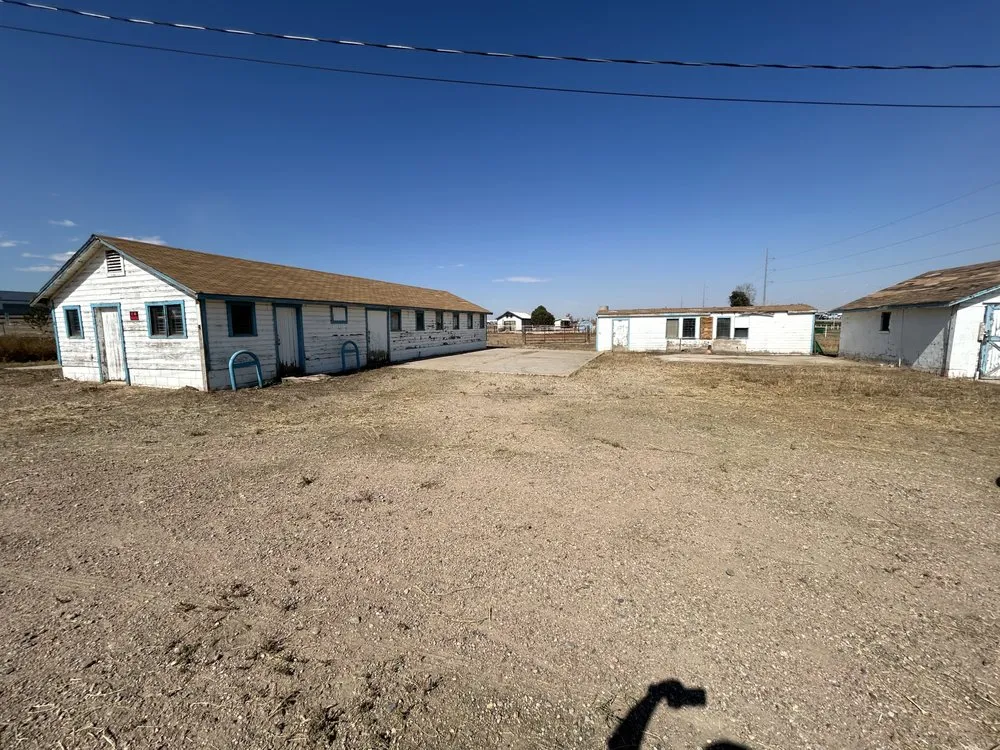 Professional yard cleanup service in Greeley, CO by Arcadia Maintenance Services