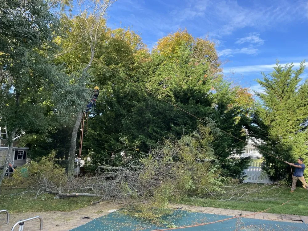 Top-rated lawn care service in Huntington, NY - Arcadia Outdoors