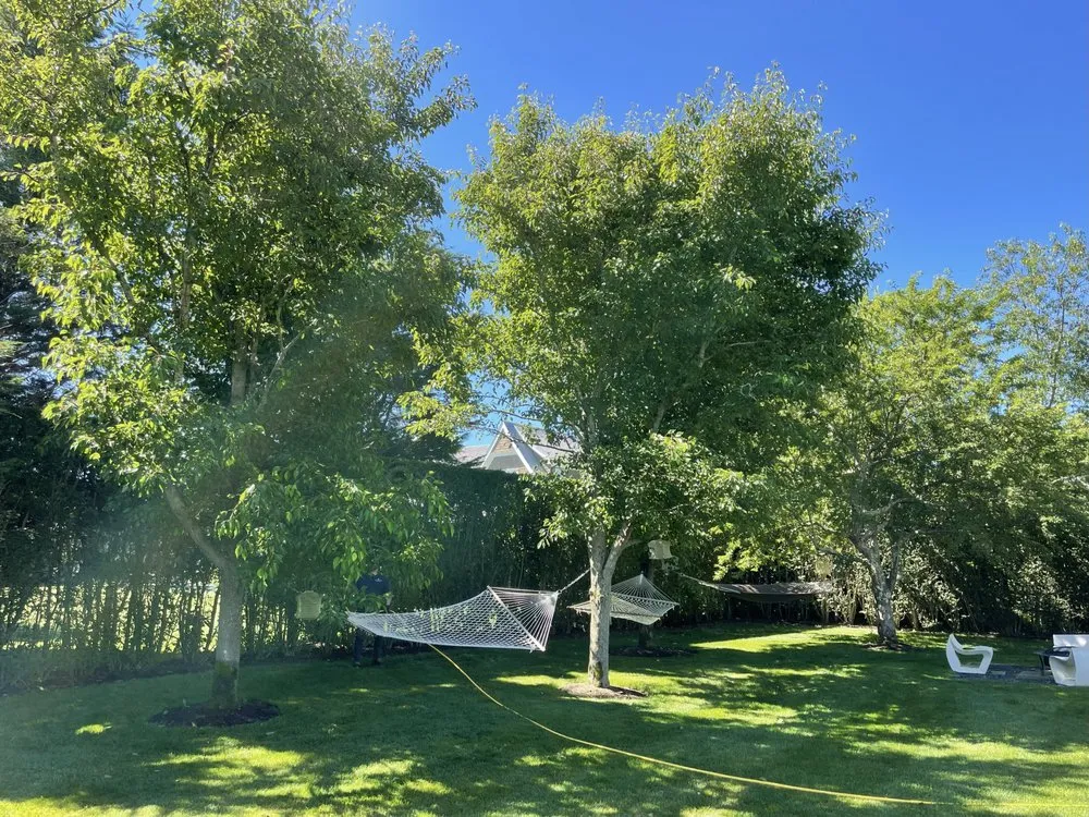 Top-rated residential landscaping for outdoor upgrades across Huntington, NY - Arcadia Outdoors